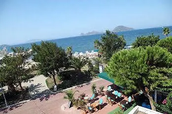 Kortan